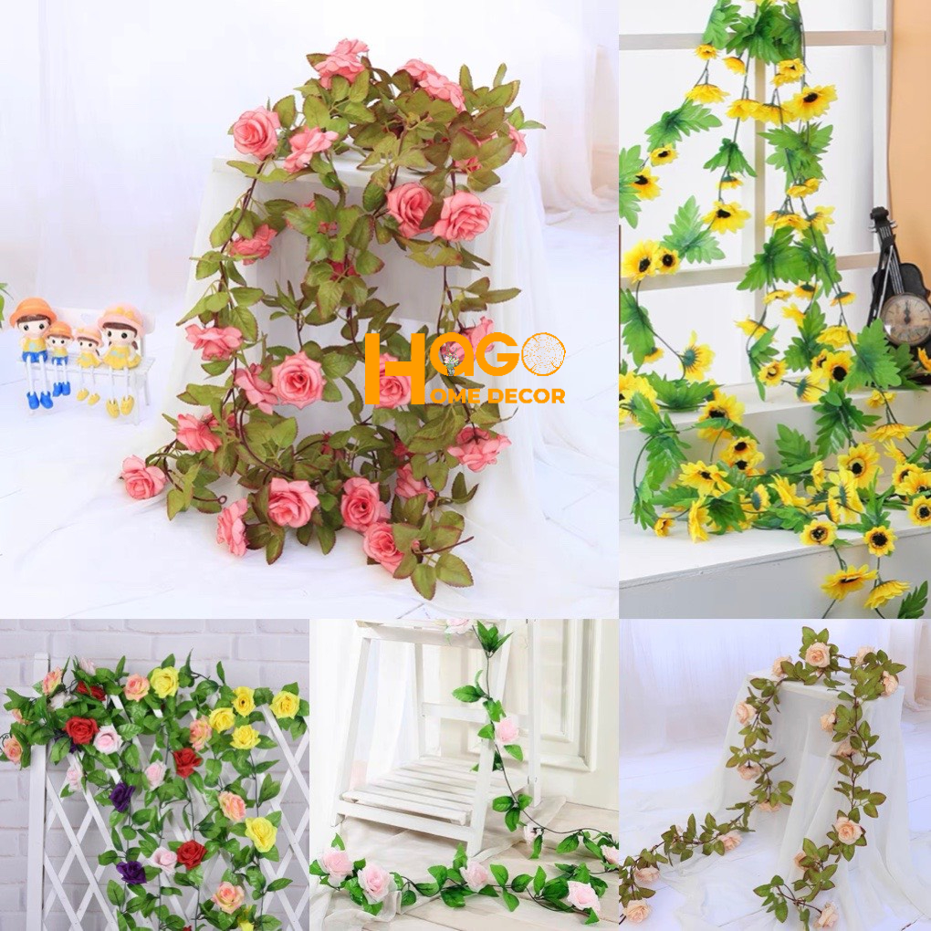 Dây Hoa Hồng Leo Nhiều Mẫu Trang Trí Tường,Hàng Rào, Ban Công Tuyệt Đẹp
