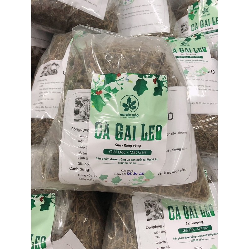 500g CÂY CÀ GAI LEO SAO/RANG VÀNG