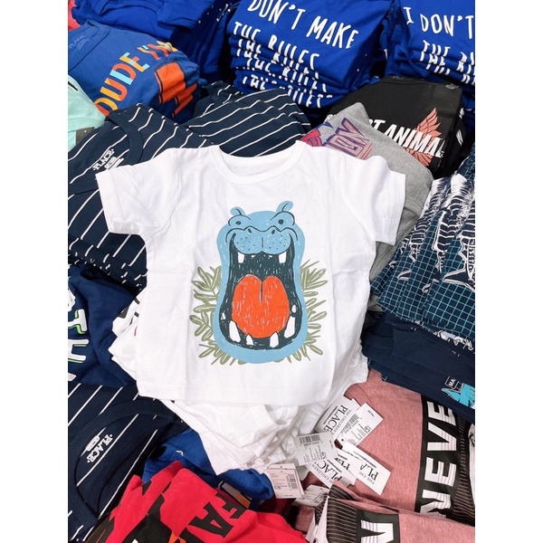 Áo thun bé trai xuất xịn 6M - 8 year ib chọn màu