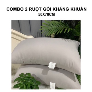 Ruột gối nằm kháng khuẩn 2 chiếc cao cấp loại 1-1,8kg size 50x70cm