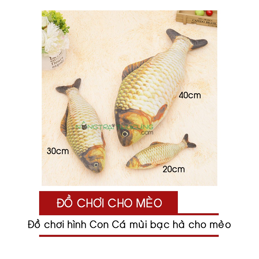 Đồ chơi cho Mèo - Hình Con Cá Nhồi Bông Có Catnip