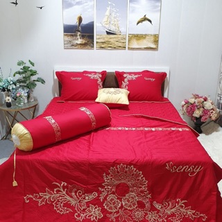 Sét Ga Gối ViKoSan ( Sensy )
