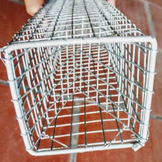 Lồng bẫy rắn 50cm