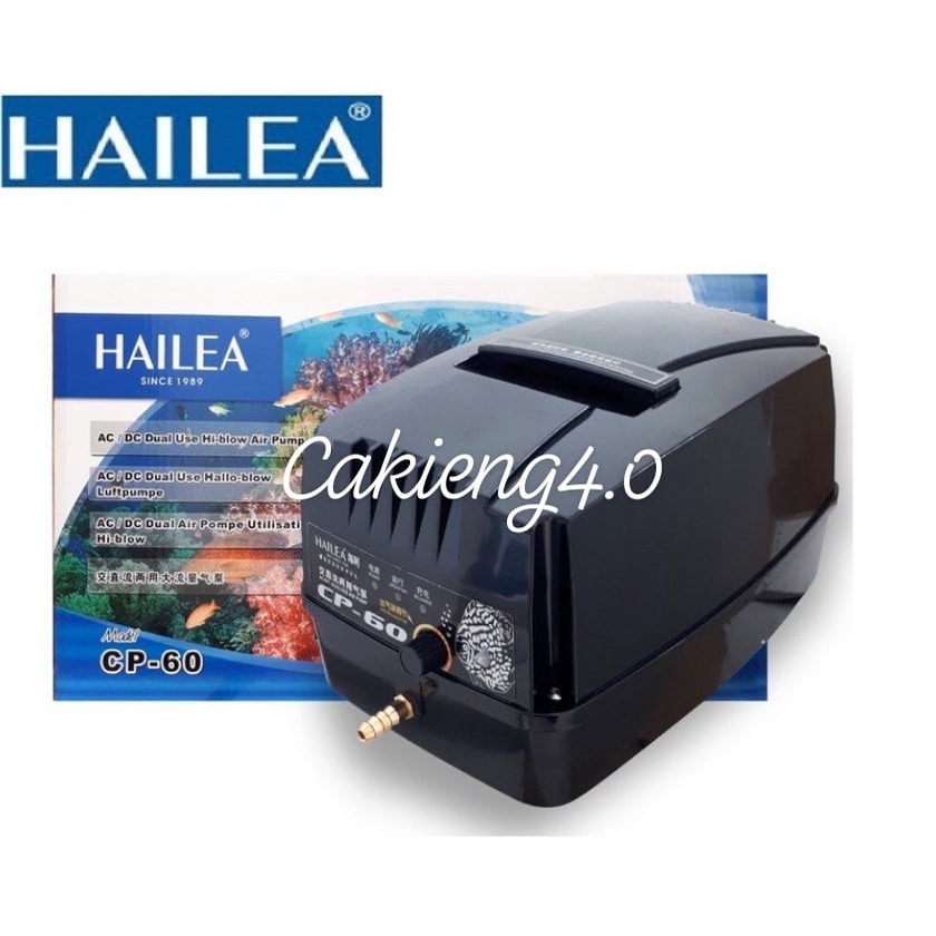 Máy sủi khí oxy tích điện Hailea CP- 60 dùng cho hồ cá koi