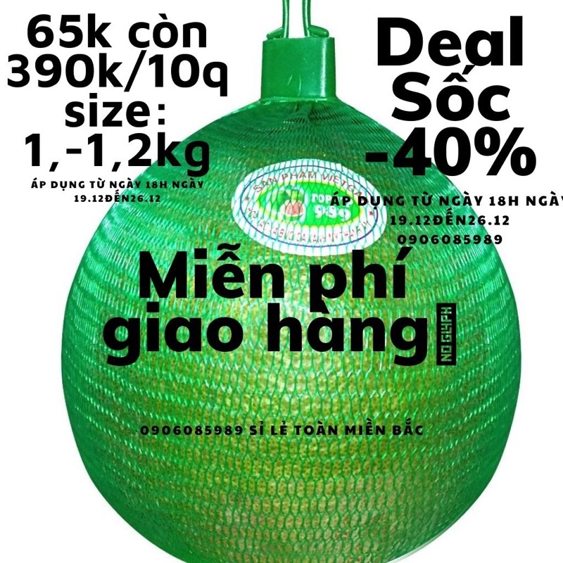 Combo 2 quả bưởi da xanh Bến Tre ngon