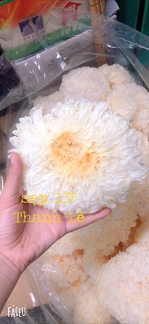 Nấm Bông Tuyết 500gram