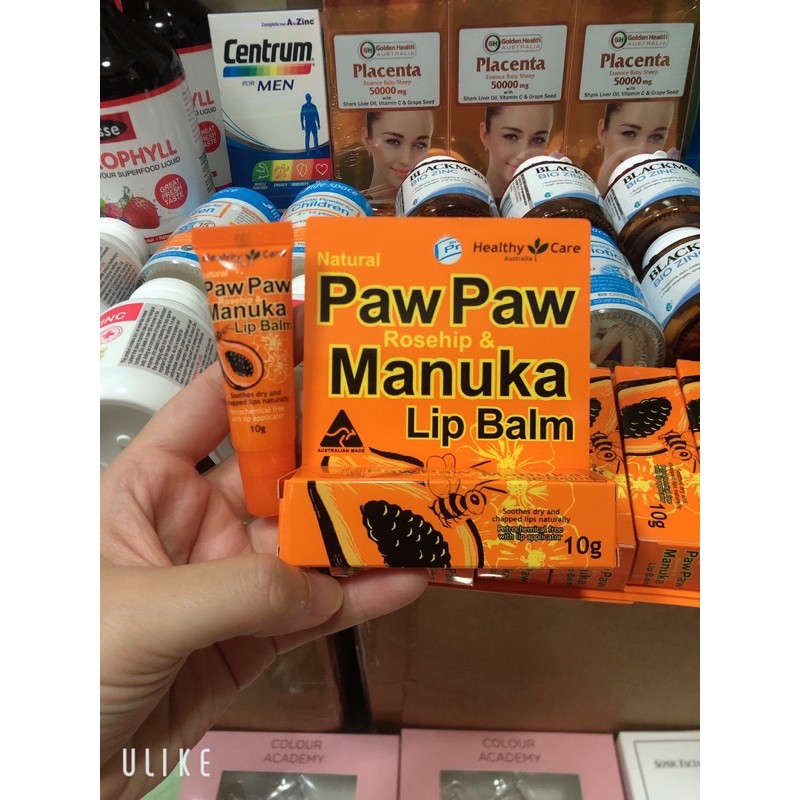 SON DƯỠNG MÔI CHIẾT ĐU ĐỦ + HOA TẦM XUÂN + MẬT ONG MANUKA ÚC - Healthy Care 10g