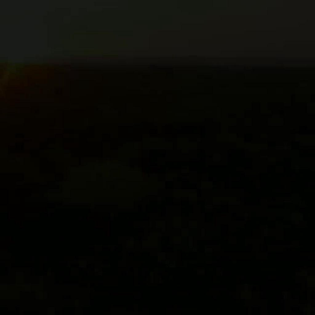 Tinh dầu thiên nhiên treo phòng, tủ quần áo, xe ô tô - mùi tự chọn - có kiểm định COA, MSDS (8loại) | BigBuy360 - bigbuy360.vn