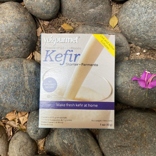 Men làm sữa chua Kefir yogourment 18gr