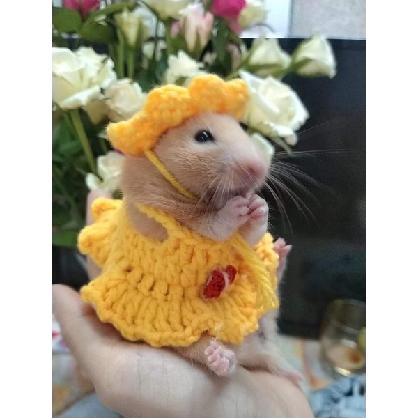 Váy mũ len cho hamter.sóc cảnh bằng len