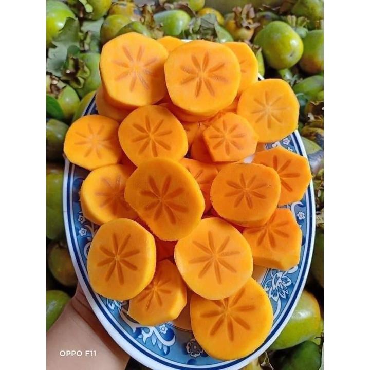 CÂY GIỐNG HỒNG GIÒN KHÔNG HẠT