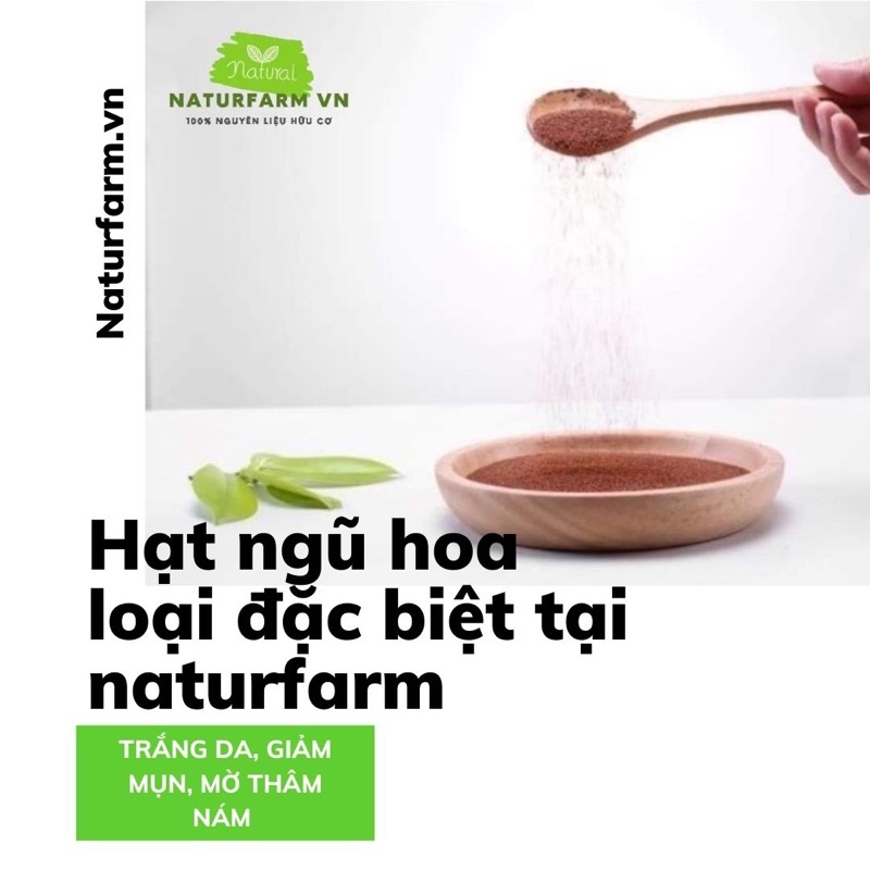 Hạt ngũ hoa nguyên chất Natufarm Organic 100gr , ngũ hoa hạt - hạt đình lịch loại 1