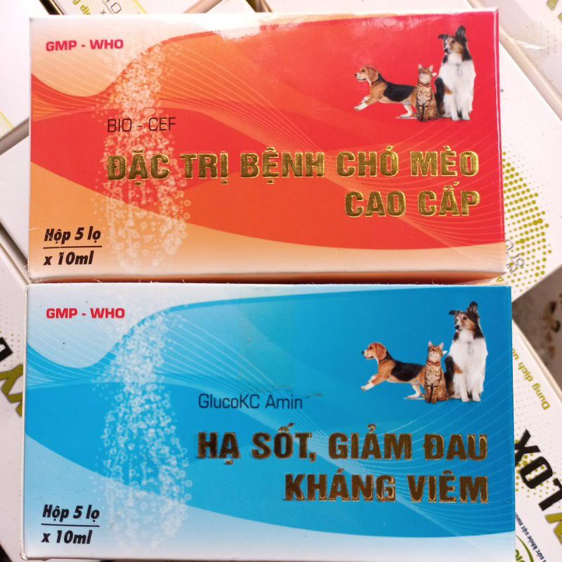 Cặp chó mèo cao cấp Cef Gluco kc ( cặp 2 lọ)