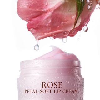 Son dưỡng môi Fresh Rose Petal Soft Lip Cream dạng kem hương hoa hồng 10g