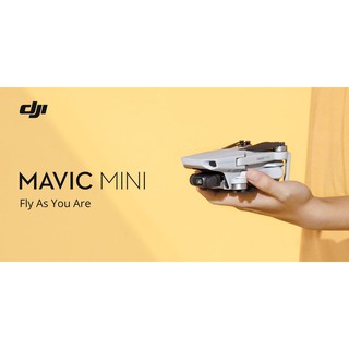 MAVIC MINI