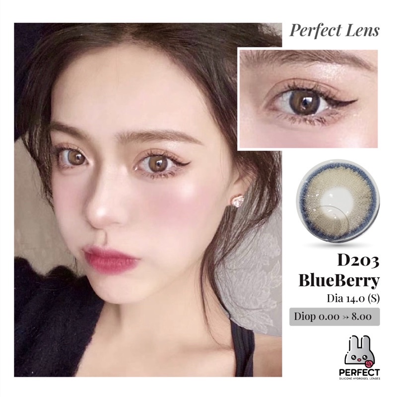 Lens Mắt , Kính Áp Tròng D203 BLUEBERRY Có Độ Cận và Không Độ , DIA 14.0 , Cho Mắt Nhạy Cảm Giá Sale