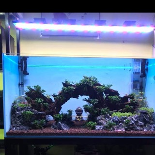 đèn wrgb chế