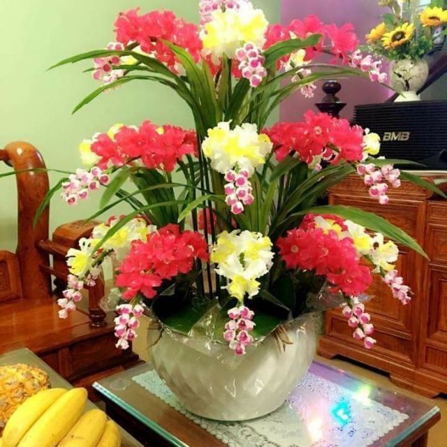 Hoa lan pha lê