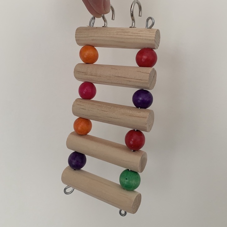 Đồ Chơi Cầu Thang Leo Trèo Bằng Gỗ Cho Vẹt