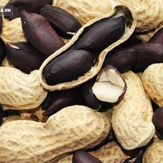 Hạt giống Lạc đen (15 gram)