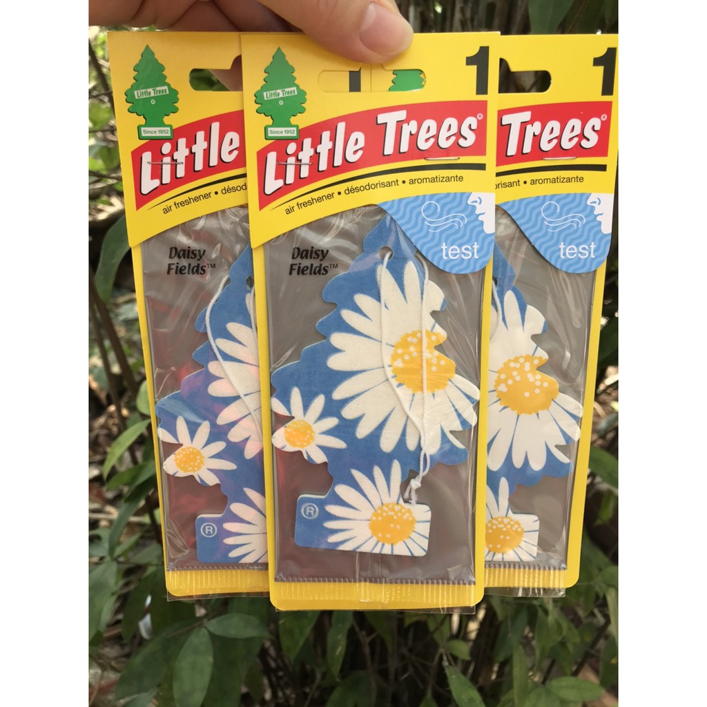 CÂY THÔNG THƠM LITTLE TREE DAISY FIELDS - HƯƠNG HOA CÚC