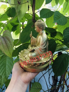 Tượng phật A Di Đà màu đồng ( cao 14 cm )
