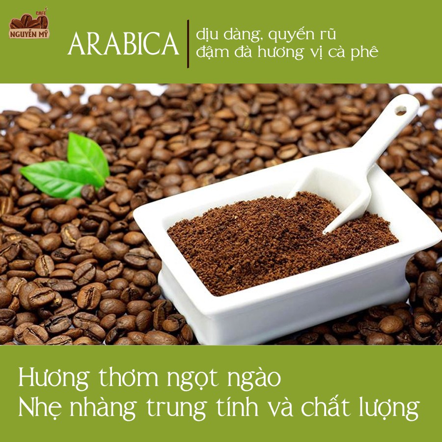 Cà phê Arabica bột, xay, pha phin 100% nguyên chất ít bơ500g | BigBuy360 - bigbuy360.vn