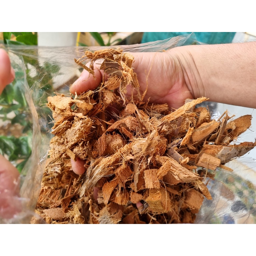 1 bao sơ dừa đả phơi khô sử lí hết chất chát về chỉ việc bỏ vào chậu trồng lan hoặc cây cảnh 0.5 kg