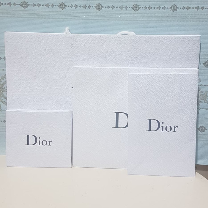 Túi Xách Dior Chính Hãng Size L Mới