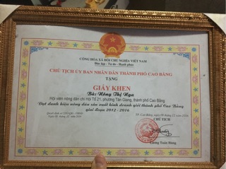 Miến dong cao bằng