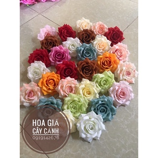 Combo 10 bông hồng loại đẹp