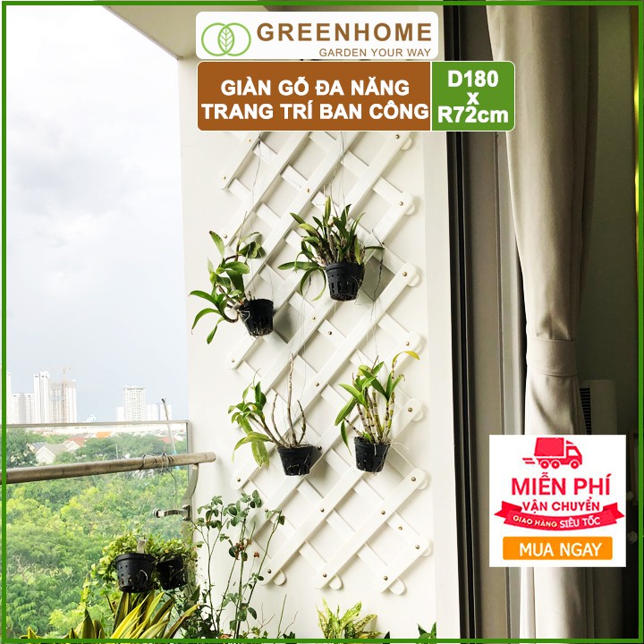 Giàn gỗ treo ban công, R72xC180cm, màu trắng, làm khung hoa hồng leo, cây leo, bông giấy, vách trang trí |Greenhome