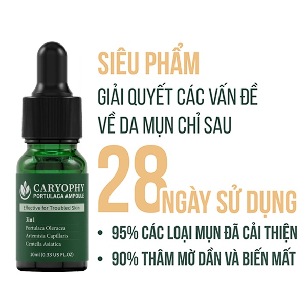 Combo Skincare giảm mụn mờ thâm Caryophy Portulaca (Tẩy trang 300ml + SRM 150ml + Toner 300ml + Serum 10ml)