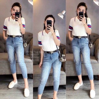 Áo len polo basic cổ đức pha sọc màu nổi bật (4953#)