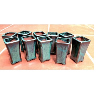 Chậu hoả biến mini