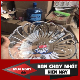 [Hot] Đĩa thả hoa, đĩa để hoa quả