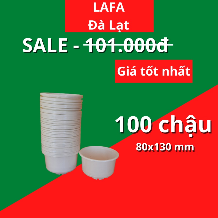 Combo 100 Chậu nhựa chuyên trồng cây sen đá thành thấp LAFA kích thước  chậu chuyên dùng ươm giống cây trồng