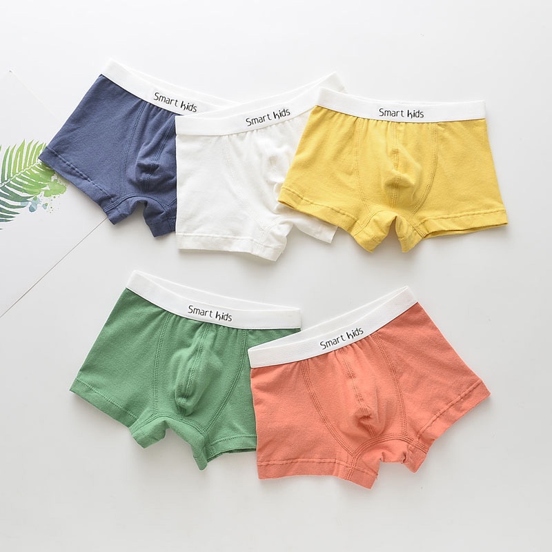 Set 5 Quần Lót Boxer Cotton Thoải Mái Thời Trang Cho Bé Trai 3-12 Tuổi