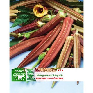 Hạt Giống Đậu Bắp Đỏ Chịu Nhiệt Burgundy