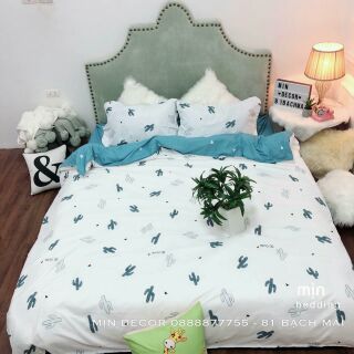 Bộ chăn ga cotton poly