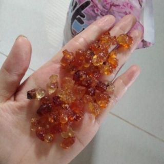 500G LỆ ĐÀO VÂN NAM.