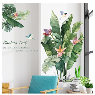 Decal Dán Tường Hình Lá Chuối MS1