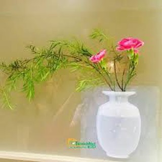 BÌNH CẮM HOA DÁN TƯỜNG GIÁ RẺ
