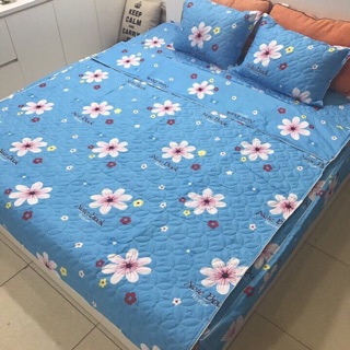 Chăn ga gối trần bông