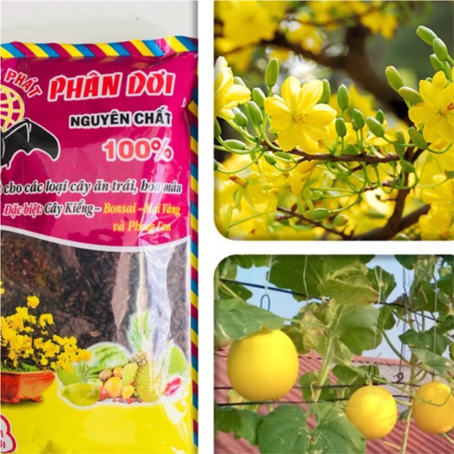 Phân dơi nguyên chất thuận phát - túi 500gr