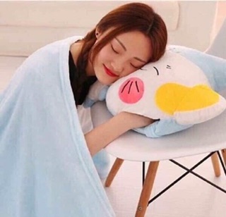 BỘ MỀN GỐI HÌNH THÚ 3 in 1