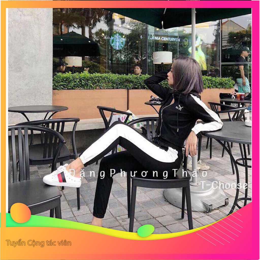 Dọn kho 164B1 Set bộ thể thao áo dây kéo nón và quần dài Dọn kho