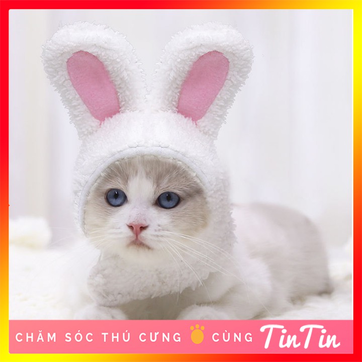 Mũ Đội Đầu Hình Thú Dễ Thương Cho Mèo #Tintin pet Store