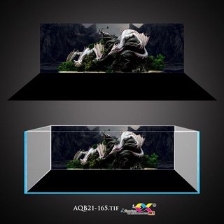 Decal 3D dán bể cá