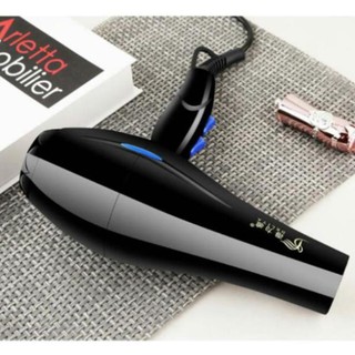 Máy sấy tóc Deliya công suất lớn
